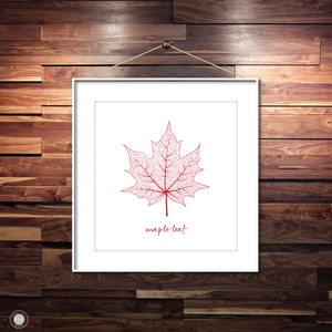 Canada Art & Graphics